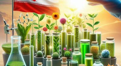 به‌کارگیری سیانوباکتری‌ها در تولید گیاهان دارویی با کیفیت