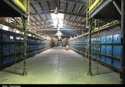 احیای یک برند صنعتی در بروجرد پس از سال‌ها رکود - تسنیم