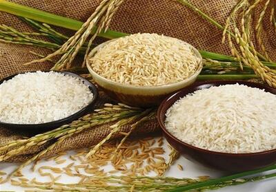 کاهش قیمت برنج در راه است - تسنیم