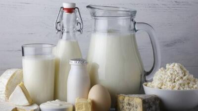 لبنیات غیرپاستوریزه؛ عامل پنهان بیماری‌های خطرناک مشترک انسان و حیوان