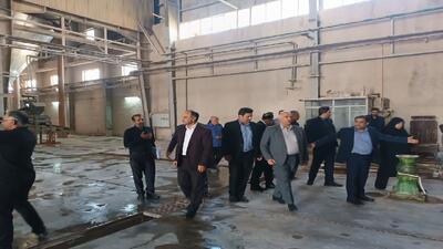 کارخانه‌های راکد با حمایت دولت به چرخه تولید باز می‌گردند