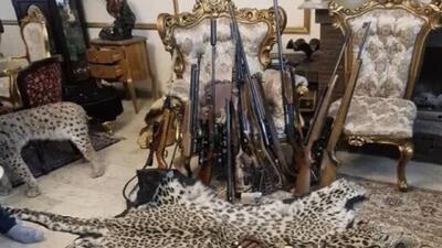 کشف محموله بزرگ حیوانات تاکسیدرمی و سلاح در تهران