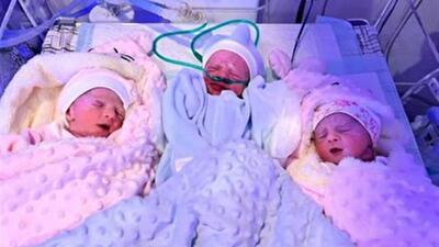 مادر سنندجی 3 قلو به دنیا آورد