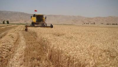 نماینده مجلس: مابقی مطالبات گندمکاران خوزستانی هرچه سریع‌تر پرداخت شود