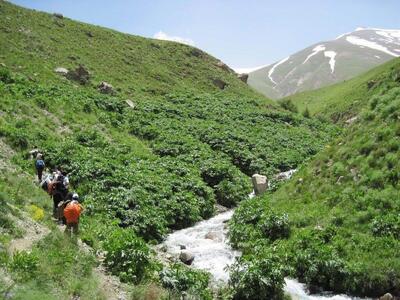 آخر هفته گرم را در روستای آهار به سرسبزی و خنکی بگذرانیم