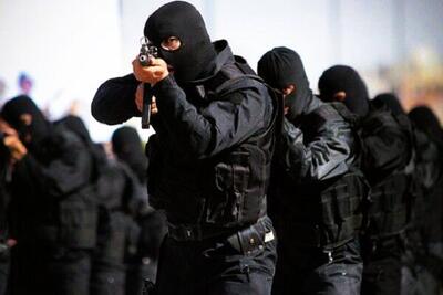 ضربه کاری سپاه بر گروه های تروریستی صهیونیستی - اکونیوز