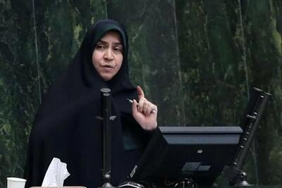مقصودی، نماینده مجلس: بسیاری از عاملان اسرائیل در بازار طلا و ارز شناسایی و دستگیر شدند / این افراد به بازار طلا و ارز می‌رفتند و با پول‌هایی که در اختیار داشتند، باعث می‌شدند تلاطم شدیدی در بازار به وجود بیاید