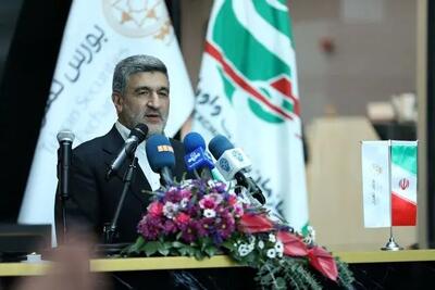 خبر مهم رئیس سازمان بورس برای سهامداران