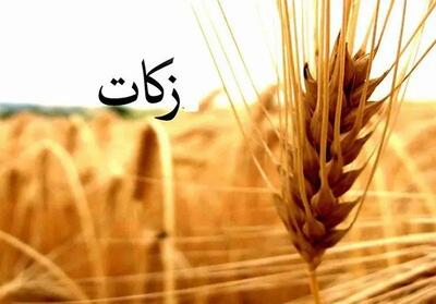 پرداخت زکات در قزوین ۴۴ درصدی بیشتر شد
