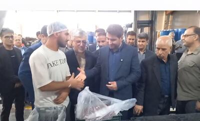 فیلم| بازدید استاندار کردستان از طرح انتقال آب به دهگلان و چند واحد تولیدی