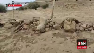 تلف شدن ۳۰ گوسفند و ۶ الاغ بر اثر مصرف آب آلوده در بجنورد