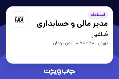 استخدام مدیر مالی و حسابداری در فیلفیل