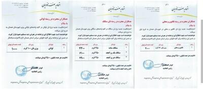 افزایش چشمگیر قیمت انواع نان در همدان