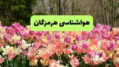 پیش بینی وضعیت آب و هوا هرمزگان فردا جمعه ۲۰ تیر ۱۴۰۴ | هواشناسی هرمزگان ۲۴ ساعت آینده اعلام شد