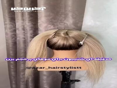 یک شینیون خاص برای موهای پرحجم