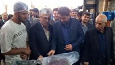بازدید استاندار کردستان از واحد‌های تولیدی شهرستان دهگلان