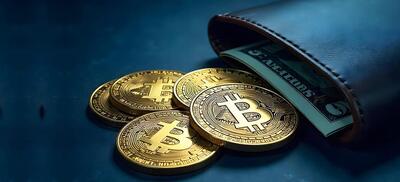 بزرگ‌ترین دارندگان بیت کوین چه کسانی هستند؟
