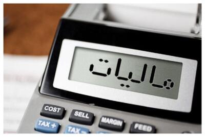 پرداخت داوطلبانه مالیات 19 برابر شد+ جزئیات