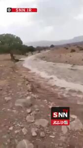 وسط تابستان یزد بارانی شد