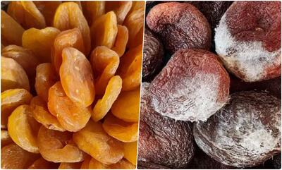 چرا برگه زردآلو کپک می زند؟