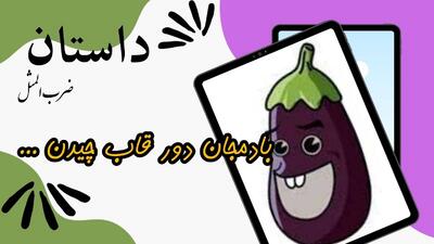 داستان ضرب المثل بادمجان دور قاب چیدن!