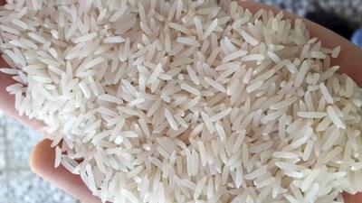 چرا قیمت برنج کنترل نمی‌شود؟