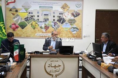 آغاز خرید توافقی سیب زمینی در آذربایجان شرقی