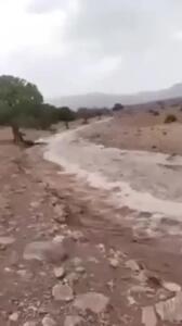 ببینید / بارش باران و جاری شدن روان‌ آب، صبح امروز در یزد
