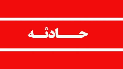 انتقال خرس قهوه‌ای با وضعیت حیاتی ناپایدار به پناهگاه حیات‌ وحش سمسکنده