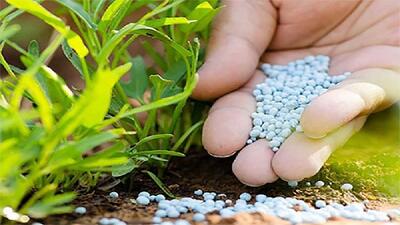 افزایش ۱۰ درصدی سهمیه انواع کود شیمیایی نسبت به سال گذشته