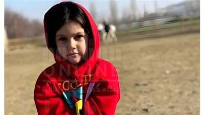 قاتل دختر ۶ ساله بوکانی در ملاءعام اعدام شد