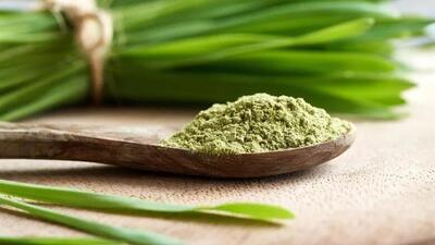 اثبات خواص افزایش طول عمر و ضد پیری جوانه گندم