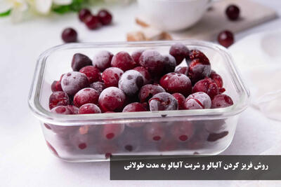 روش فریز کردن آلبالو و شربت آلبالو به مدت طولانی + مدت زمان نگهداری آلبالو در فریزر