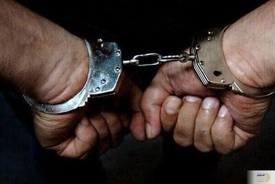کشفِ بزرگِ پلیسی/ سارقِ ۱۸۰ میلیاردِ تومان پس از ۶ سال، در چنگِ قانون گرفتار شد