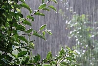 پیش‌بینی بارش رگبار در مناطق مختلف ایران
