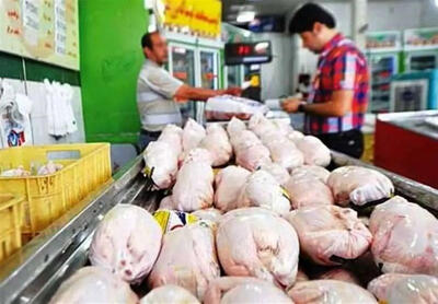ثبات و آرامش تولید در بازار گوشت و مرغ وجود دارد