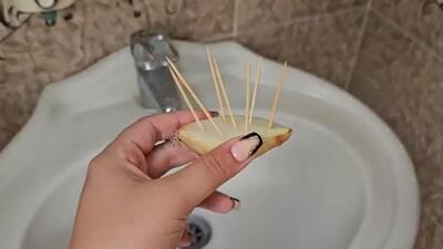 ۵ روش ساده و خانگی دور کردن سوسک و حشرات برای همیشه / رفع بوی بدچاه حمام و سرویس بهداشتی