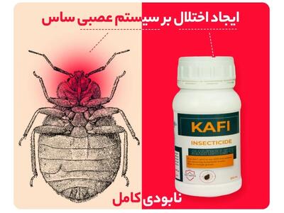 قوی ترین سم ساس دیجی کالا + نکات مهم سمپاشی ساس منزل