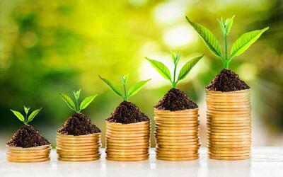 راهنمای مدیریت مالی در بحران | اقتصاد24