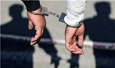 شبکه 200 فقره‌ای سرقت لوازم خودرو متلاشی شد