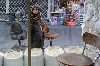 انفجار قیمت برنج؛ چهار پرده از جنجال تابستانی در بازار