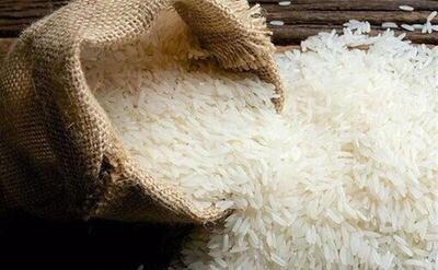 قیمت برنج عجیب شد؛ پیشنهاد توقف واردات برنج پاکستانی و تداوم واردات برنج هندی