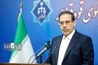 سخنگوی قوه قضاییه: شبکه‌های دشمن در داخل شناسایی شدند