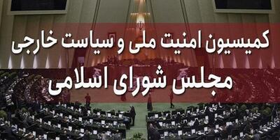برای جلب نظر شورای نگهبان، طرح تشدید مجازات جاسوسی اصلاح شد