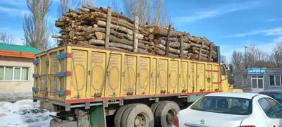 کشف 3 تن چوب قاچاق در روستای یله‌گنبد