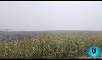 آتش‌سوزی در بخش عراقی هورالعظیم، خوزستان را در محاصره دود قرار داد + فیلم