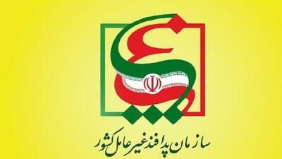 ارائه گزارش عملکرد پدافند غیرعامل در جنگ ۱۲ روزه به امیر موسوی