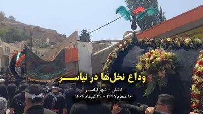 وداع نمادین نخل‌ها در نیاسر؛ آیینی ۷۰۰ ساله در سوگ ششمین روز شهادت امام حسین(ع)+فیلم