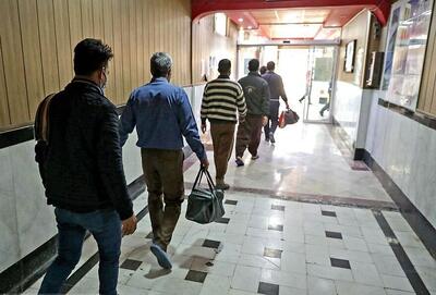 آزادی ۱۳۷ زندانی غیر عمد با کمک ستاد دیه استان مازندران