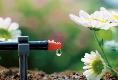 استاندار همدان: قطره‌ای آب نباید هدر برود